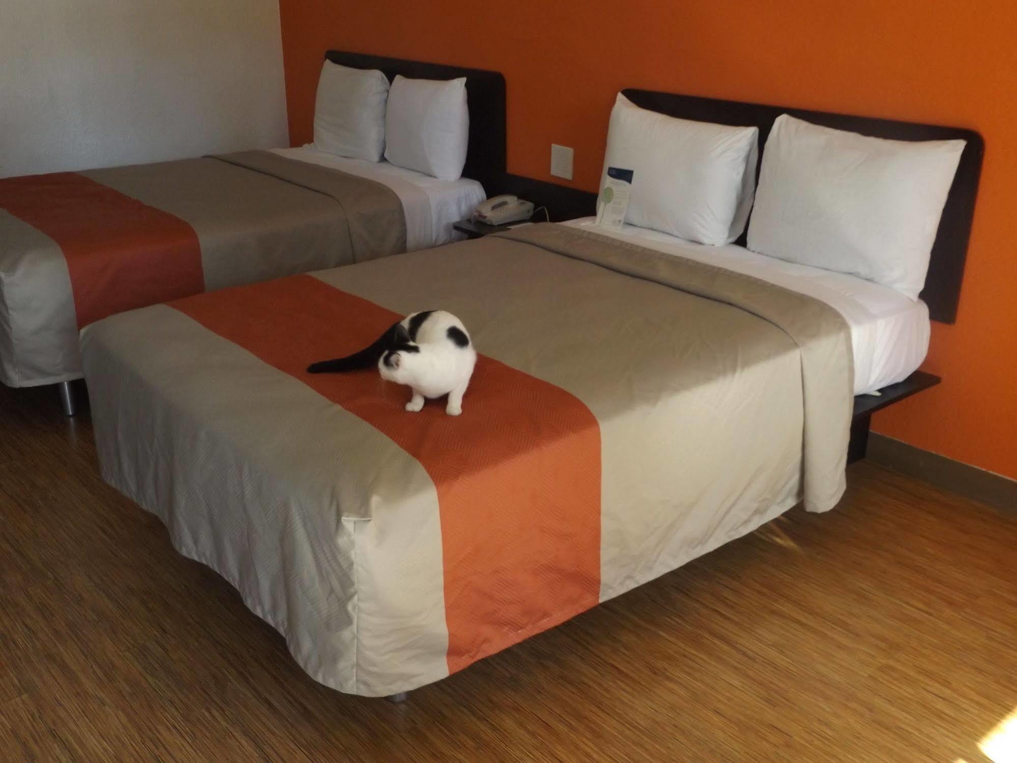 Motel 6 Glendale Az Zewnętrze zdjęcie